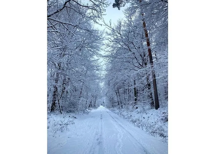Ferienhaus Grimm Comfortable Eschbach (Rhein-Lahn)