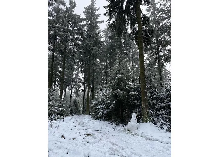 Grimm Comfortable Ferienhaus Eschbach (Rhein-Lahn)